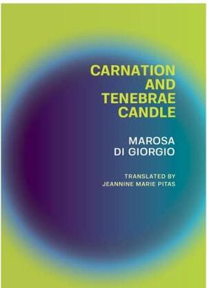 Carnation and Tenebrae by Marosa Di Giorgio