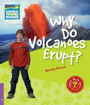 Why Do Volcanoes Erupt? Level 4 Factbook by Nicolas Brasch