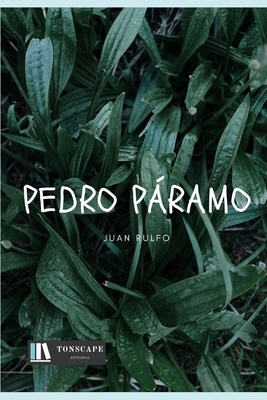 Pedro Páramo by Juan Rulfo