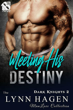 Meeting His Destiny by Lynn Hagen