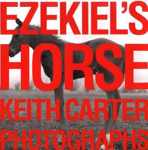 Ezekiel's Horse by Keith Carter