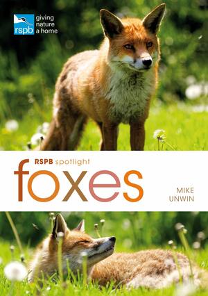 RSPB Spotlight: Foxes by Mike Unwin