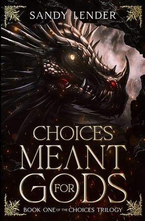 Choices Meant for Gods by Sandy Lender