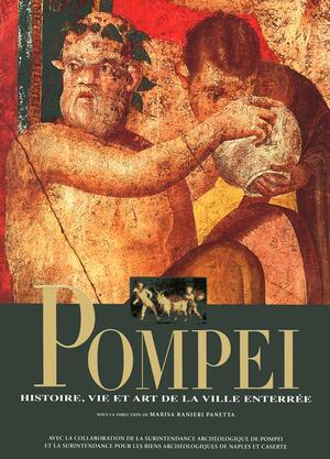 Pompéi : histoire, vie et art de la ville enterrée by Marisa Ranieri Panetta