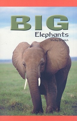 Big Elephants by Shelby Braidich