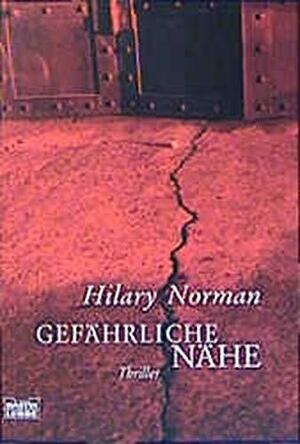 Gefährliche Nähe by Hilary Norman