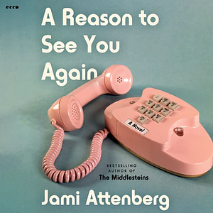 A Reason to See You Again by Jami Attenberg