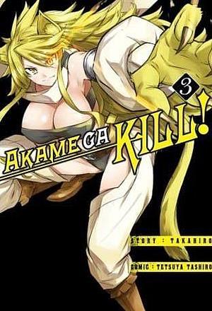 Akame ga KILL! #3 by Takahiro, Takahiro