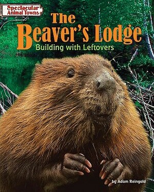 The Beaver's Lodge: Building with Leftovers by Adam Reingold