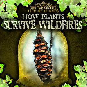 How Plants Survive Wildfires by Kate Mikoley