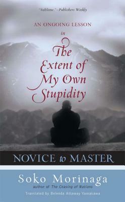 Novice to Master: An Ongoing Lesson in the Extent of My Own Stupidity by Soko Morinaga