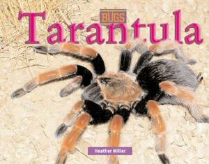 Tarantula by Heather Miller, A. Kelly Diane