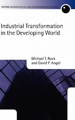Industrial Transformation in the Developing World by David P. Angel, Michael T. Rock