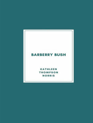 Barberry Bush by Kathleen Thompson Norris