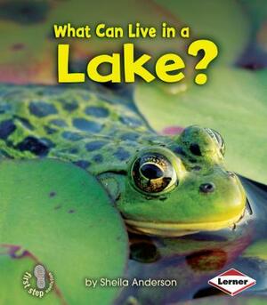 What Can Live in a Lake? by Sheila Anderson