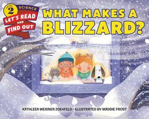 What Makes a Blizzard? by Kathleen Weidner Zoehfeld