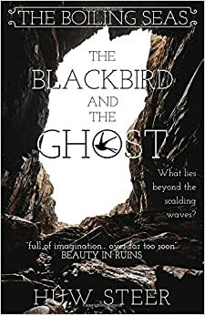 The Blackbird and the Ghost by Hûw Steer