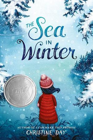 The Sea in Winter by Christine Day