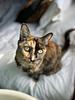 gracekatreads's profile picture