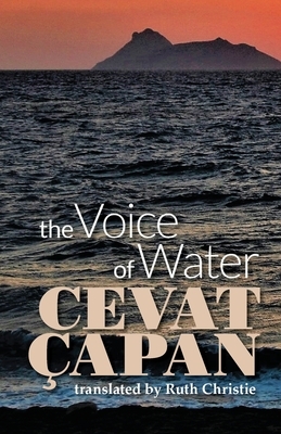 The Voice of Water by Cevat Çapan