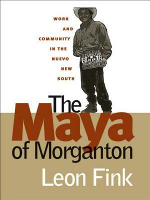 The Maya of Morganton: Work and Community in the Nuevo New South by Leon Fink
