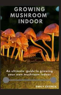 Growing Mushroom Indoor by Emily George