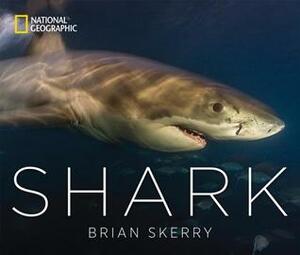 Shark by Brian Skerry