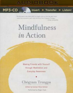 Mindfulness in Action: Making Friends with Yourself Through Meditation and Everyday Awareness by Chögyam Trungpa