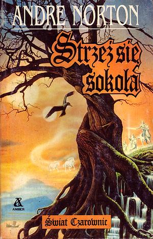 Strzeż się sokoła by Andre Norton