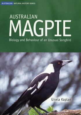 Australian Magpie op: Biology and Behaviour of an Unusual Songbird by Gisela Kaplan
