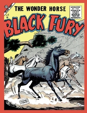 Black Fury # 5 by Charlton Comics Group