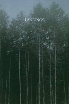 Landings by Richard Skelton