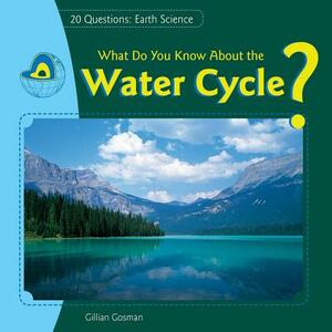 What Do You Know about the Water Cycle? by Gillian Gosman