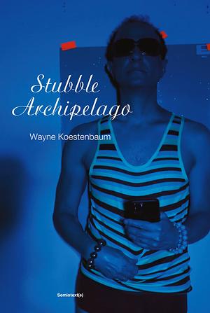 Stubble Archipelago by Wayne Koestenbaum