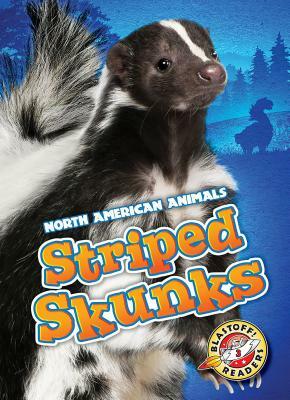 Striped Skunks by Chris Bowman