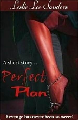 Perfect Plan by Leslie Lee Sanders