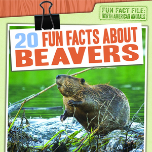 20 Fun Facts about Beavers by Charlie Light