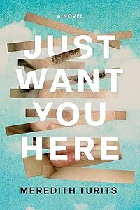 Just Want You Here: A Novel by Meredith Turits