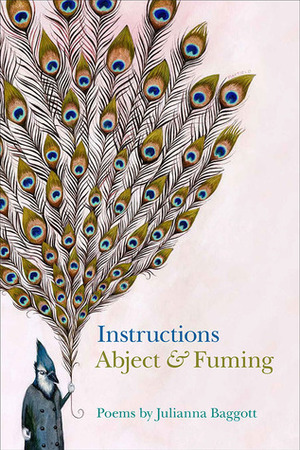Instructions, AbjectFuming by Julianna Baggott