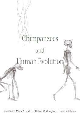 Chimpanzees and Human Evolution by David Pilbeam, Richard W. Wrangham, Martin N. Muller