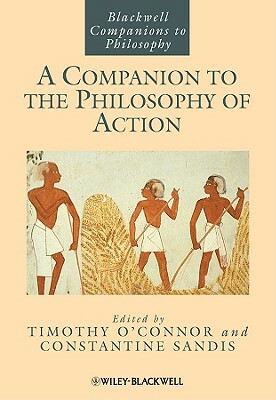 Companion Philosophy Action by 