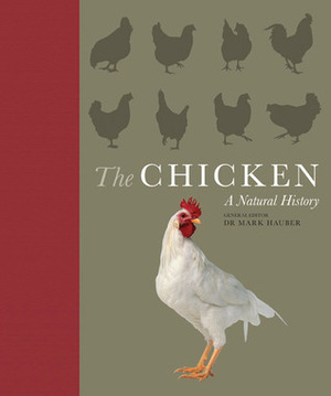 The Chicken: A Natural History by Mark Hauber, Janet Daly, Joseph Barber, Catrin Rutland, Andy Cawthray