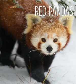 Red Pandas by Melissa Gish