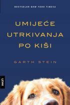 Umijeće utrkivanja po kiši by Duška Gerić Koren, Garth Stein