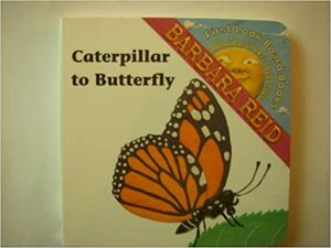 Caterpillar To Butterfly by Barbara Reid