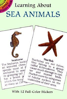 Learning about Sea Animals by Sy Barlowe