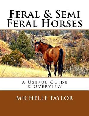 Feral & Semi Feral Horses: A Useful Guide & Overview by Michelle Taylor