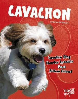 Cavachon: Cavalier King Charles Spaniels Meet Bichon Frises! by Paula M. Wilson