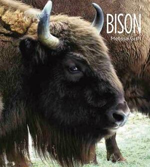 Living Wild: Bison by Melissa Gish