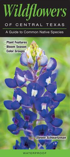 Wildflowers of Central Texas: A Guide to Common Native Species by Steven Schwartzman